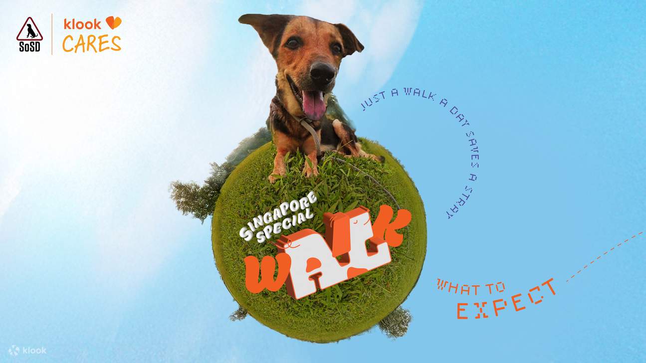 [Klook Cares] 新加坡 SOSD 特別步行活動